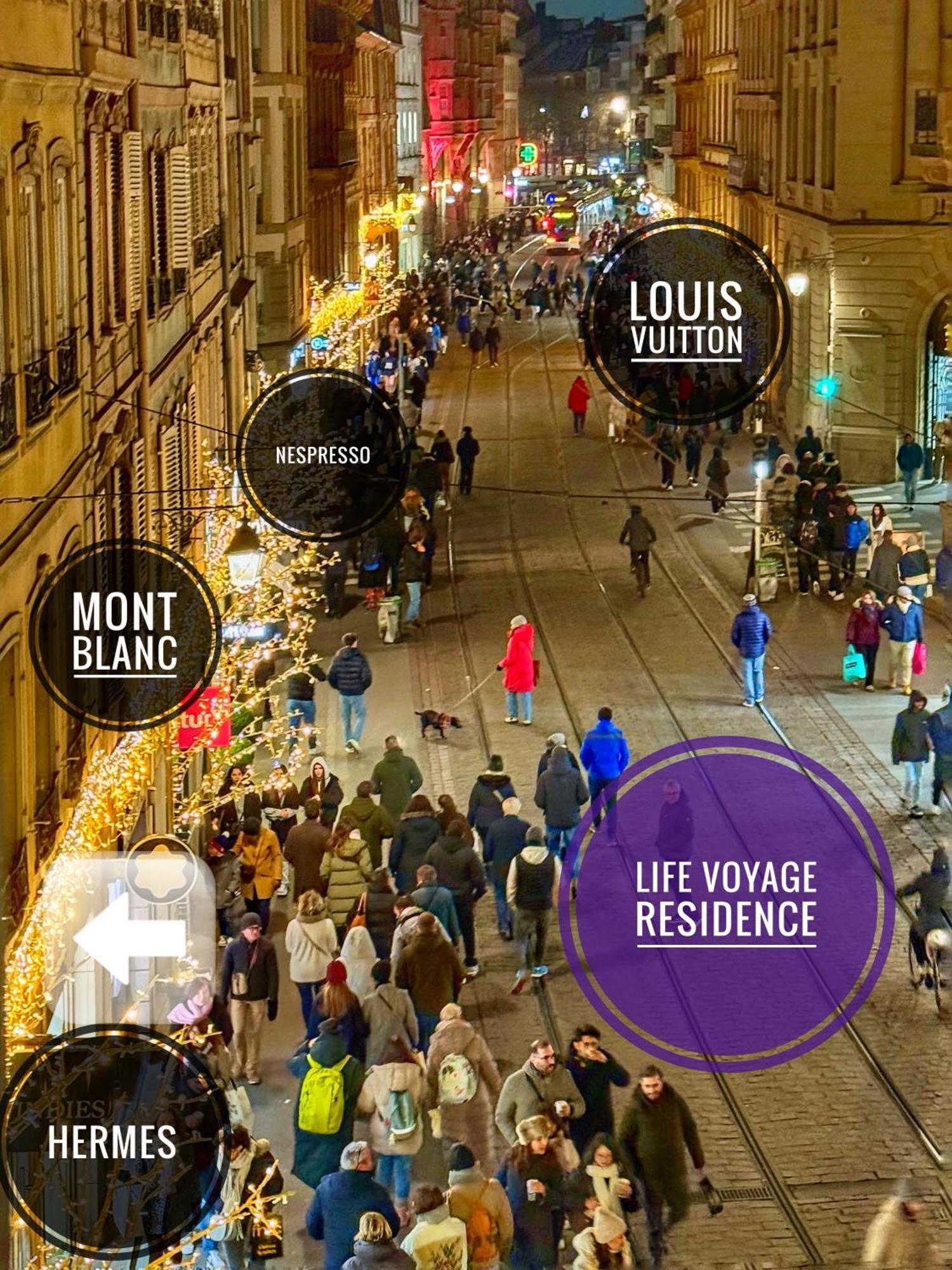 Life Voyage Residence & Spa - Strasbourg'S City Center Luxury Experience المظهر الخارجي الصورة
